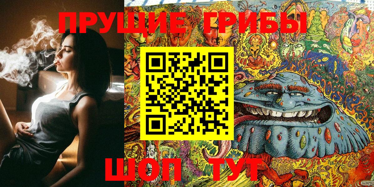 Галлюциногенные грибы Psilocybe  Вход с VPN  Владикавказ 