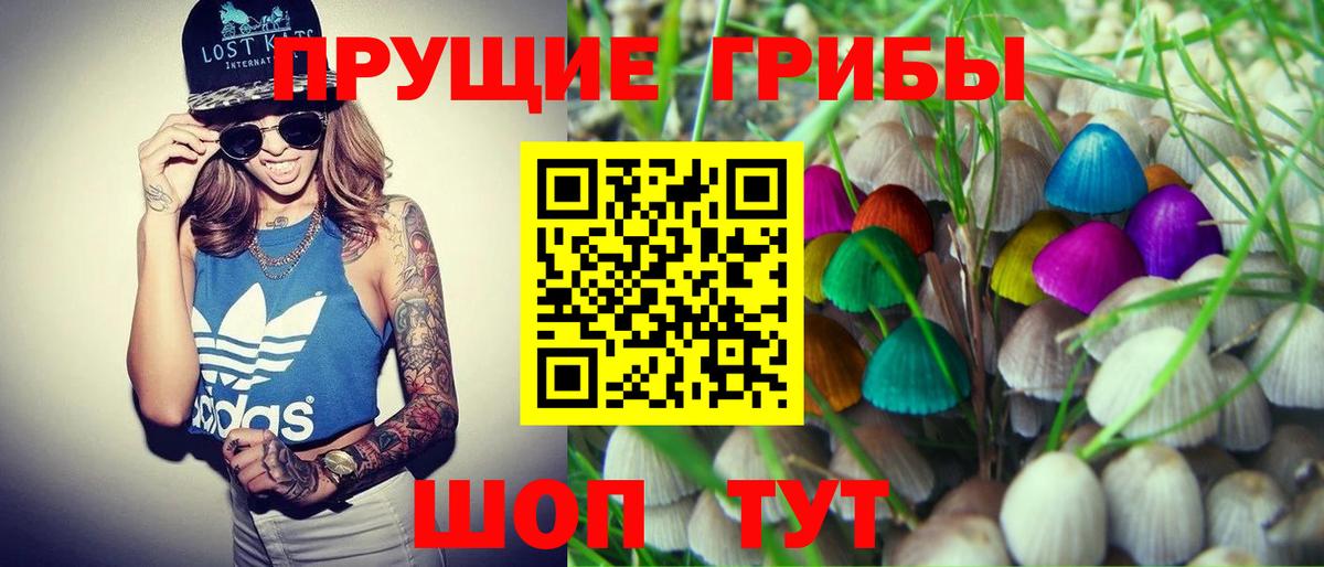 Псилоцибиновые грибы Psilocybine cubensis Владикавказ