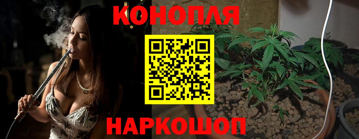 Марихуана план  Конопля White Widow  Владикавказ  Вход с VPN 